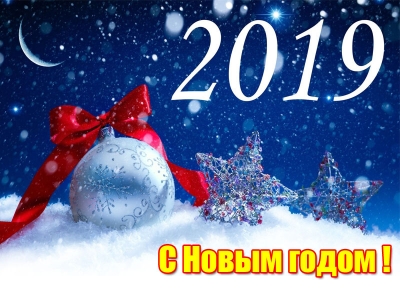 С наступающим 2019 годом! С наступающим 2019 годом!
