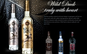 Дизайн промо-сайта Wild Duck
